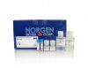 Plant DNA Isolation Kit (Magnetic Bead System)